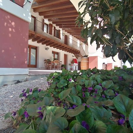 Agriturismo Il Salice Ridente Pasiano Di Pordenone Exterior foto