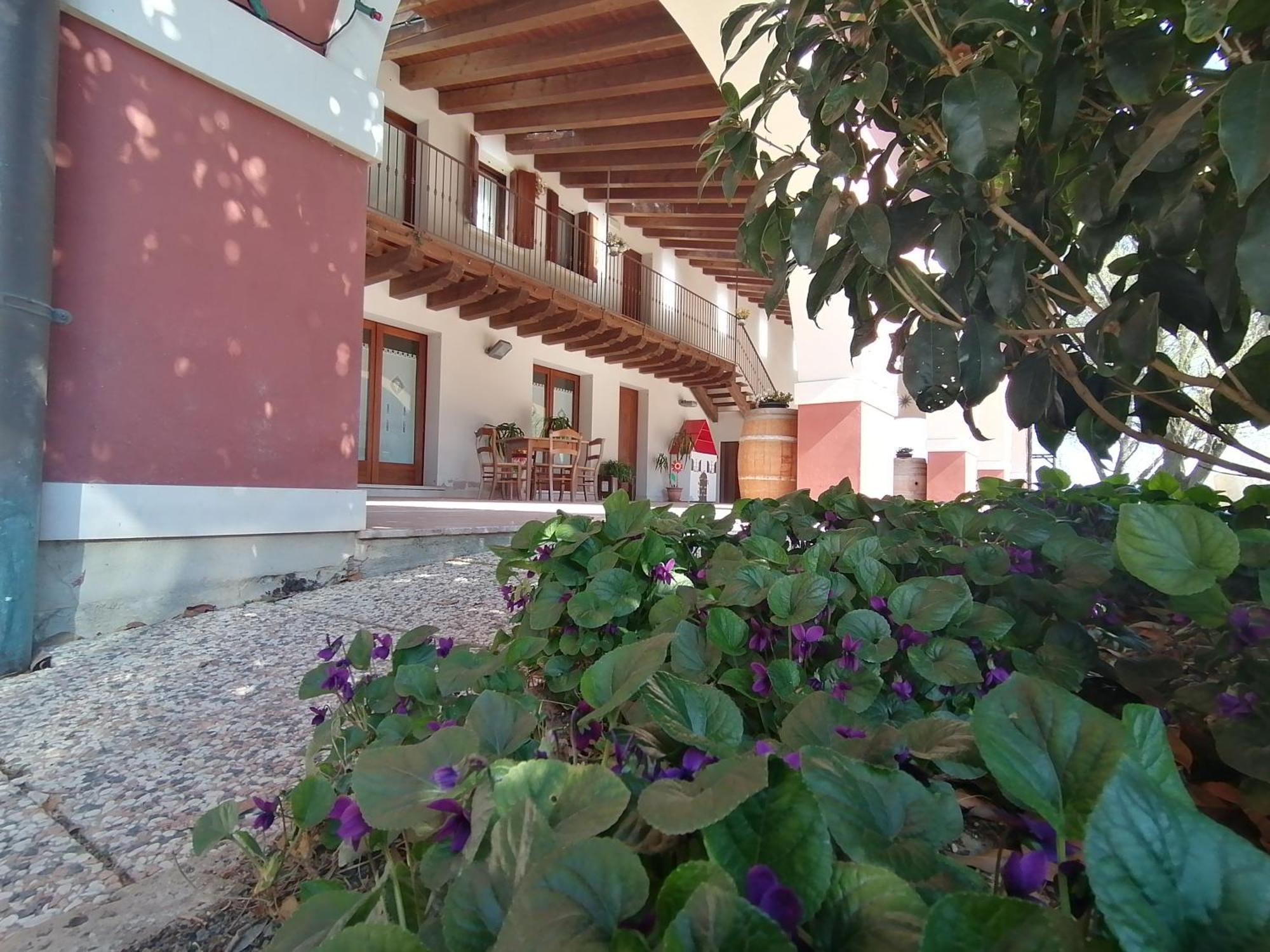 Agriturismo Il Salice Ridente Pasiano Di Pordenone Exterior foto